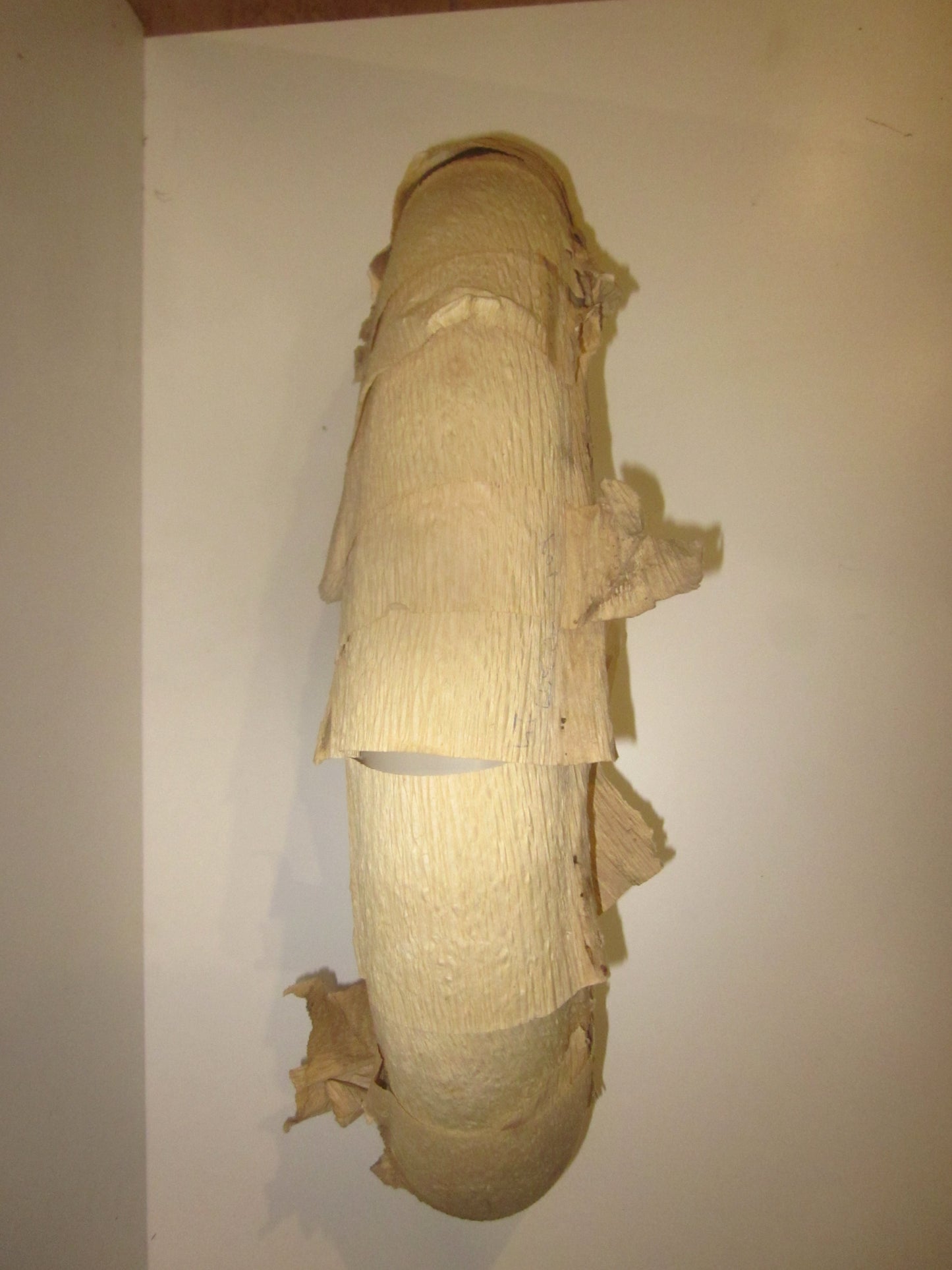 Jawa 50 mustang zadný blatník nový uloženka K9